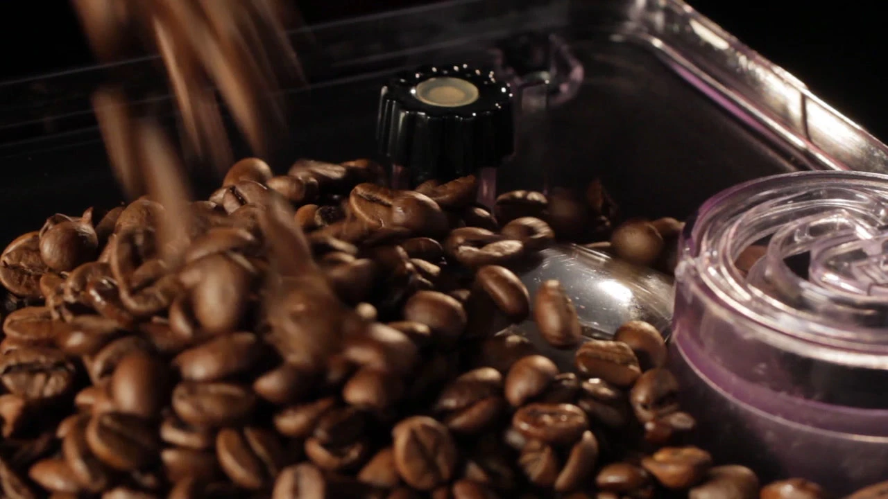 Gaggia Brera Espresso Machine In Silver - Image 8