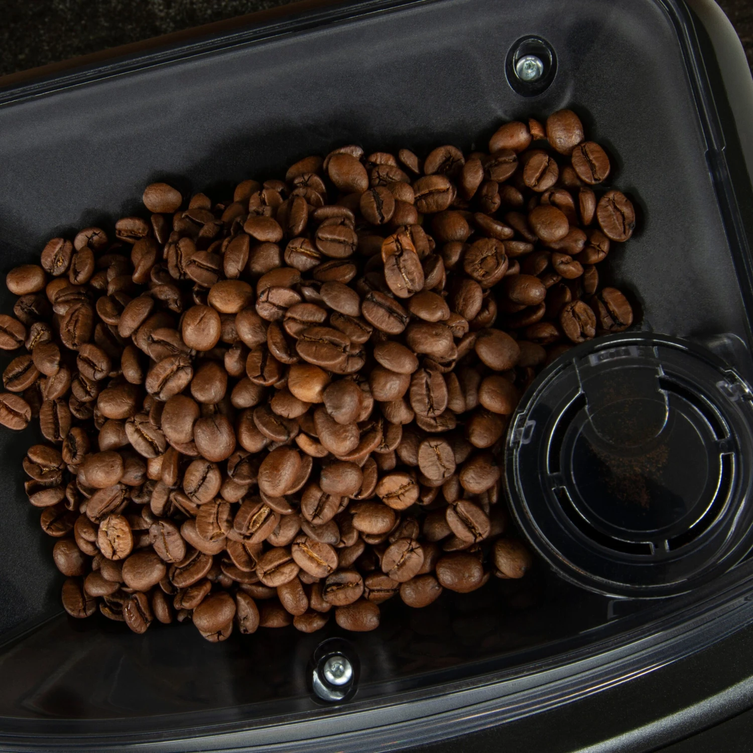 Gaggia Cadorna Barista Plus Automatic Espresso Machine - Zebrano Grain - Image 7