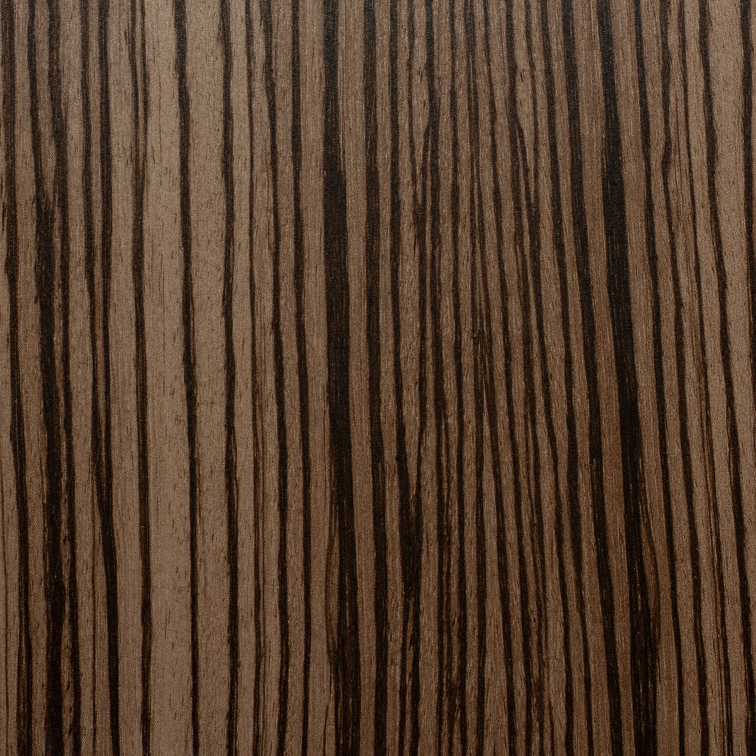 Gaggia Cadorna Barista Plus Automatic Espresso Machine - Zebrano Grain - Image 4